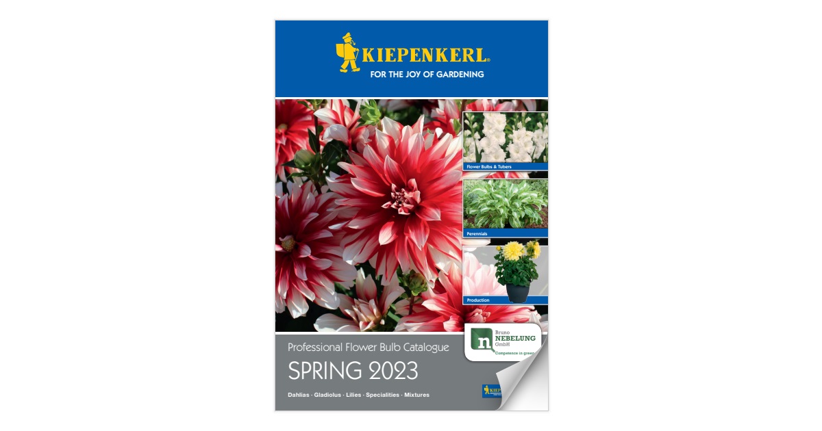Professional Flower Bulb Catalogue