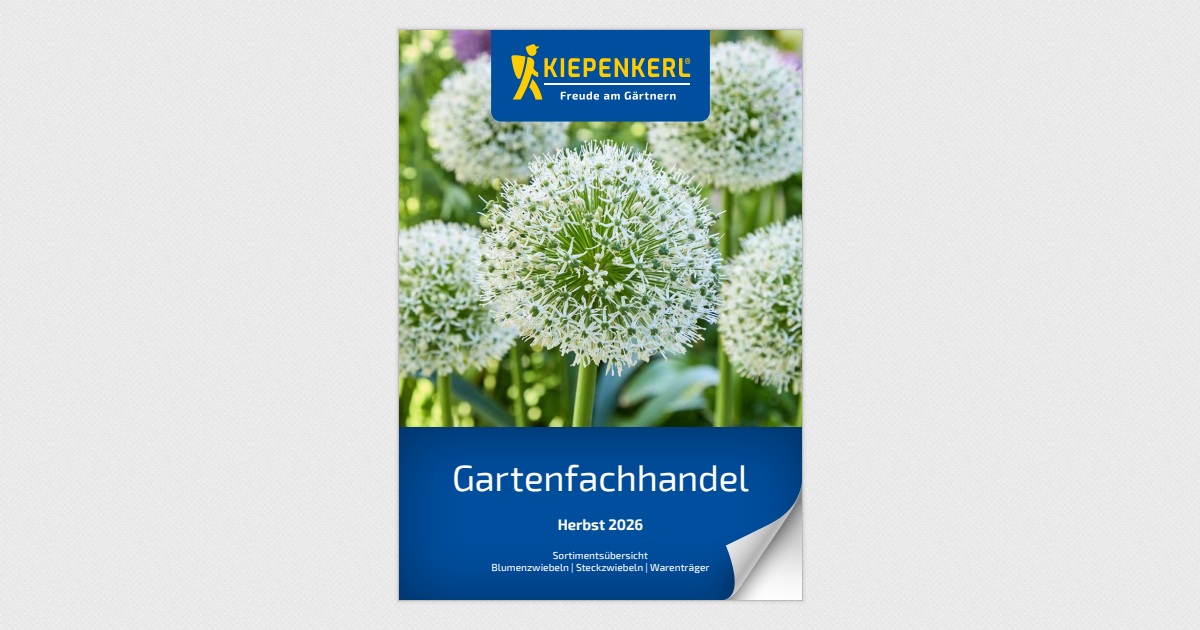 göttinger mischung saatgut Göttinger Auswahl plus main image 1
