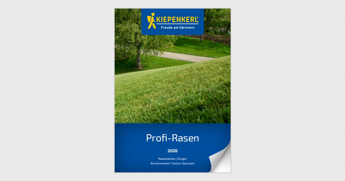 Kiepenkerl GaLaBau Profi-Rasenkatalog